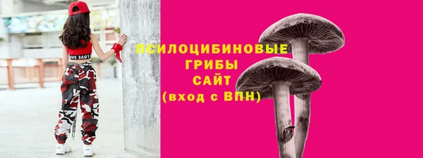 apvp Богородск